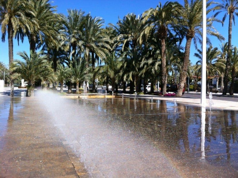 Elche, la cité des palmiers