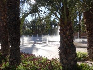 Une autre vue du jardin municipal d'Elche