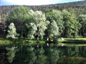Le lac de St Auban