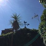 Un autre petit rappel avec le coq français sur le toit d'une maison à Patones de Arriba-famille nomade digitale