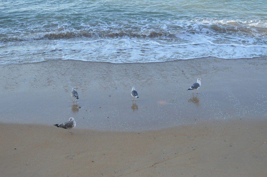 Plage de Cruz Del Mar-Chipiona