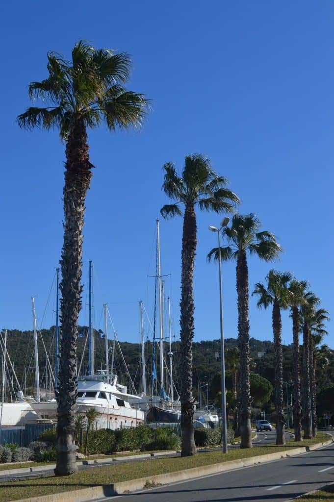 Notre famille nomade digitale à La Seyne sur Mer 