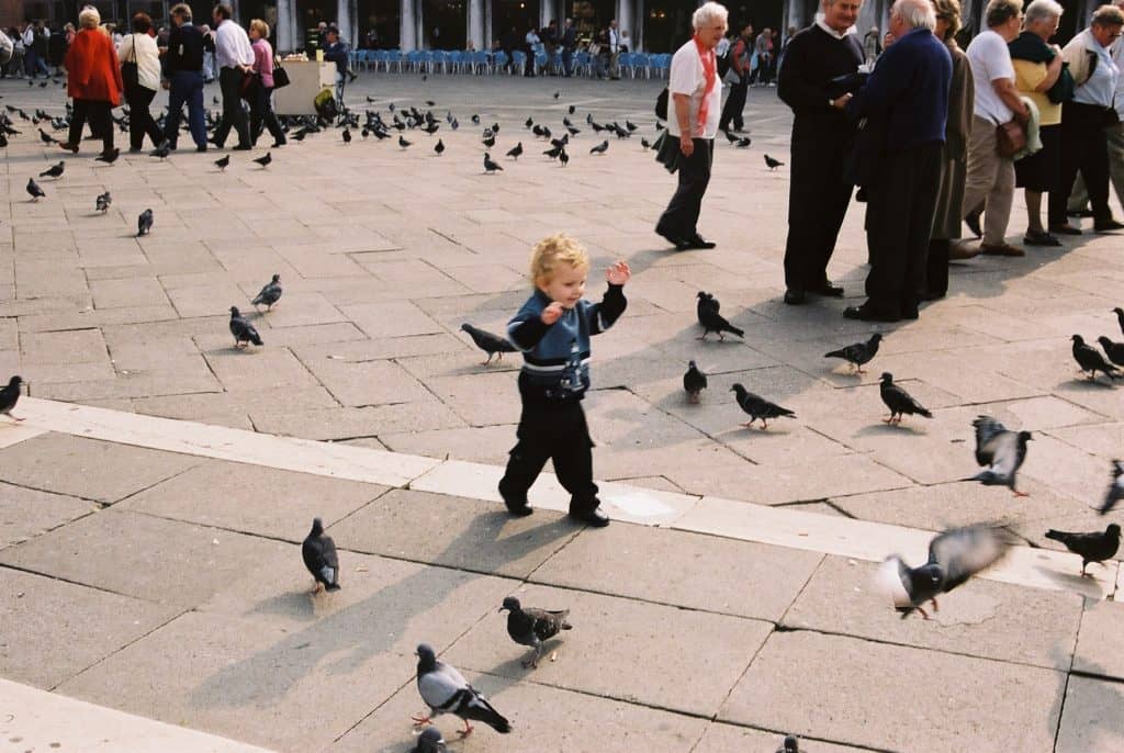 place san marco venise logan 2001