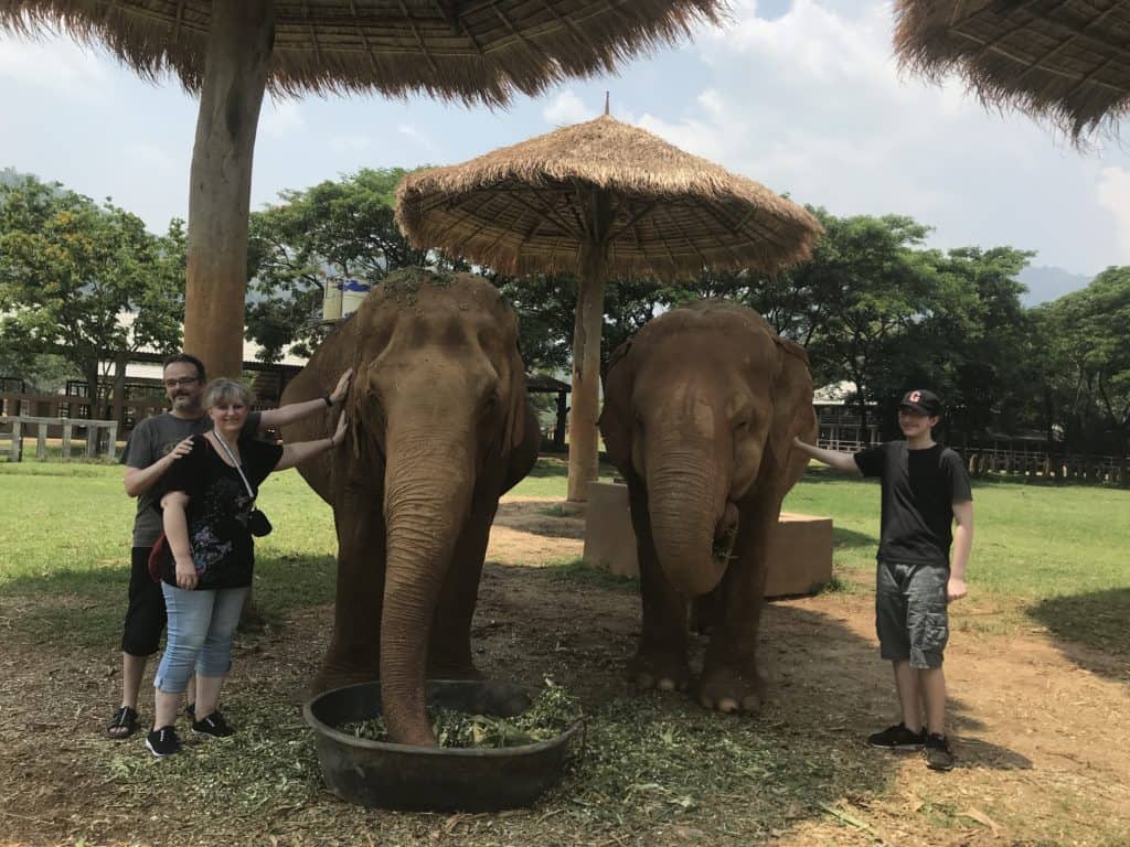 meilleur refuge pour elephants à Chiang Mai 