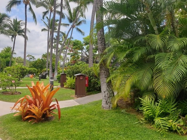 Nomade digital hawaii