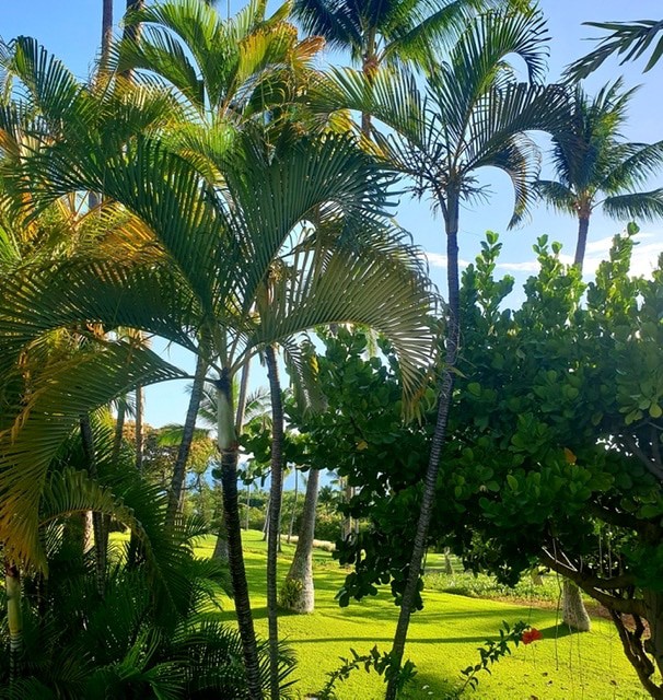 Nomade digital hawaii