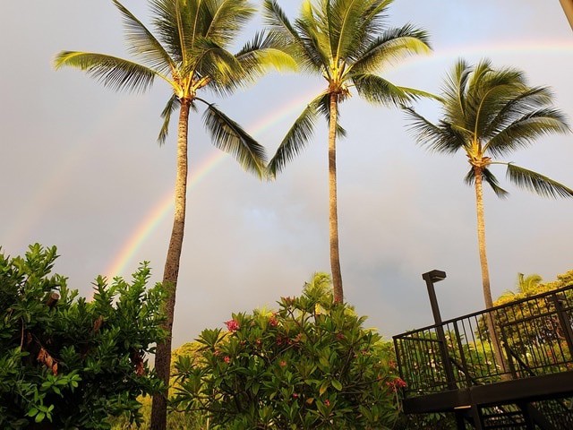 Nomade digital hawaii