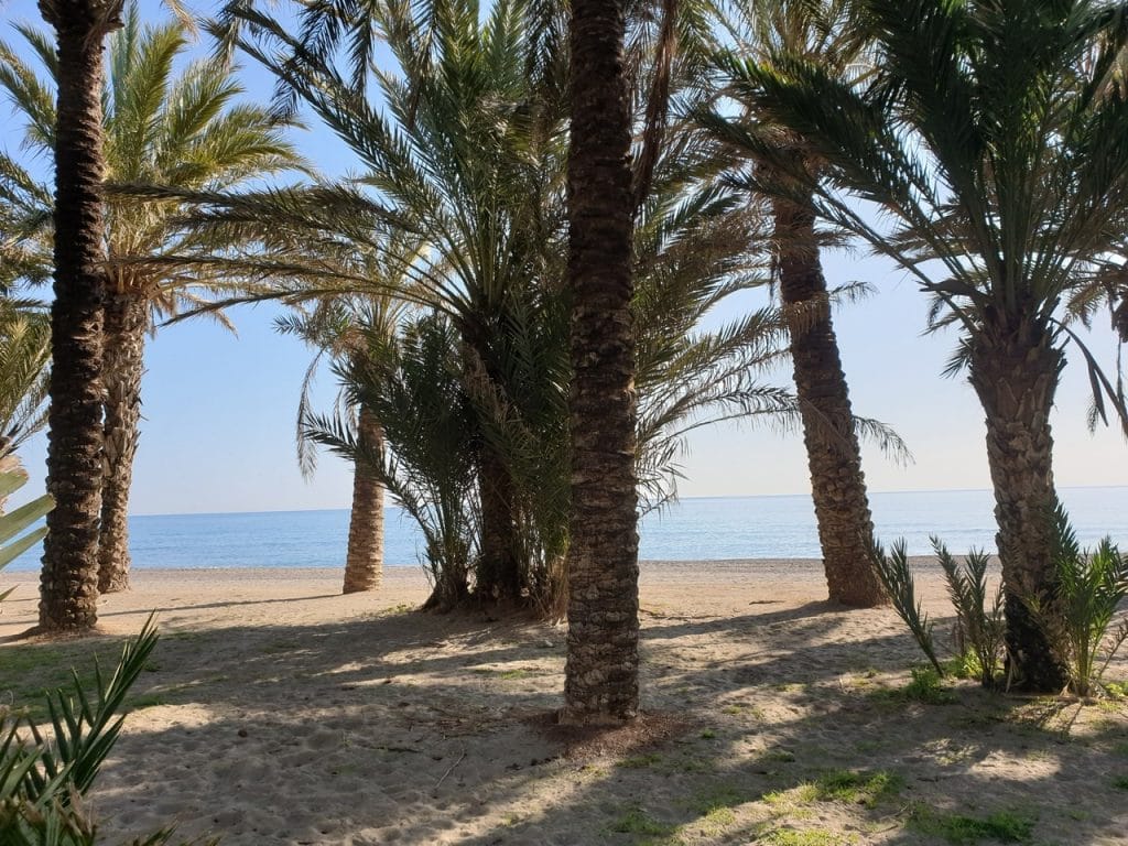 Bilan. Vie nomade en Espagne - famille nomade digitale - Torremolinos