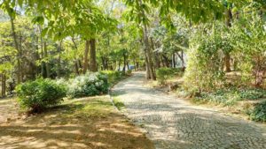 Vie nomade en bulgarie - parc