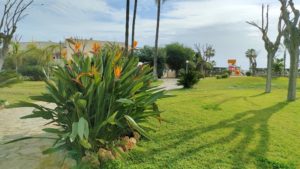 parc-paysager-logement-digital-nomad-torremolinos