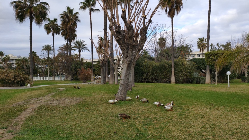 parc-paysager-residence-torremolinos