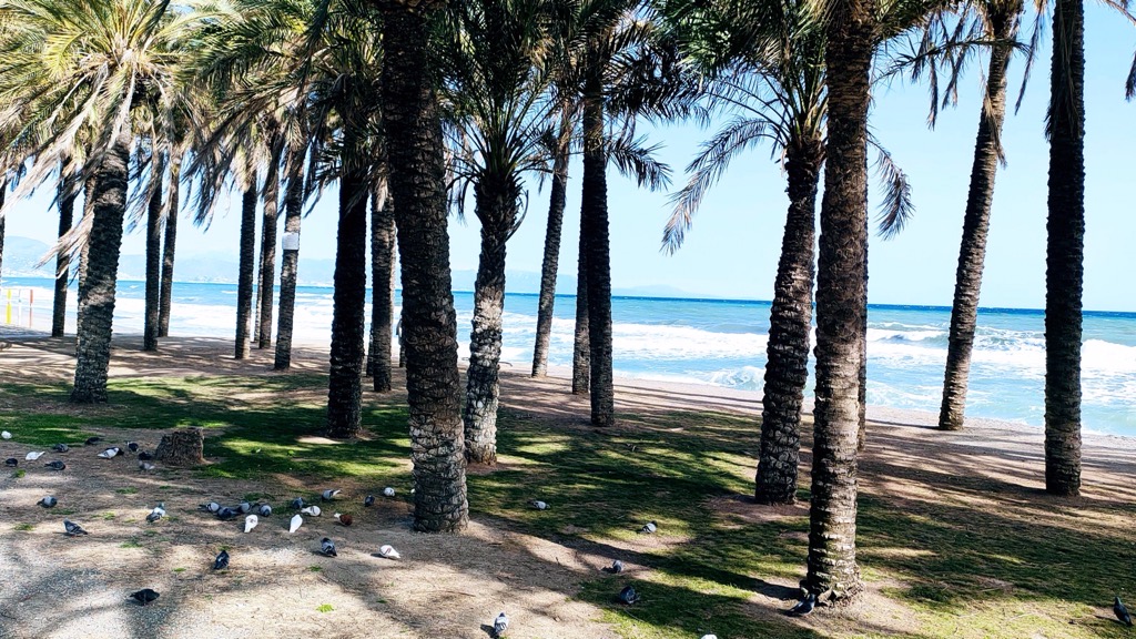 plage-torremolinos-famille-nomade-digitale