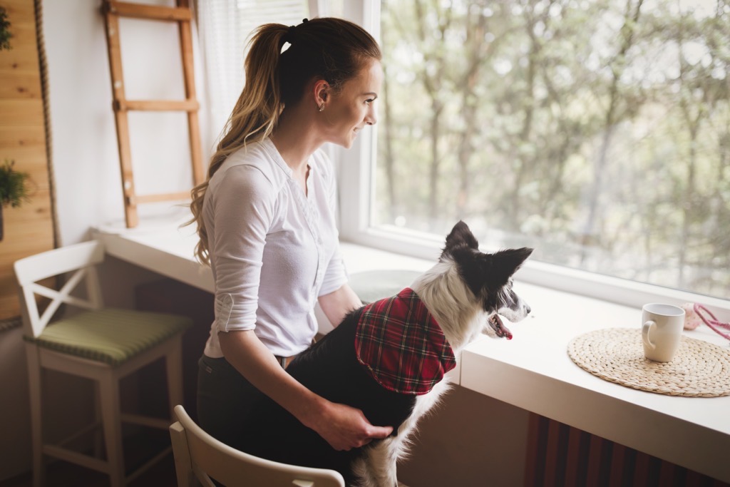 Se loger gratuitement avec le house sitting