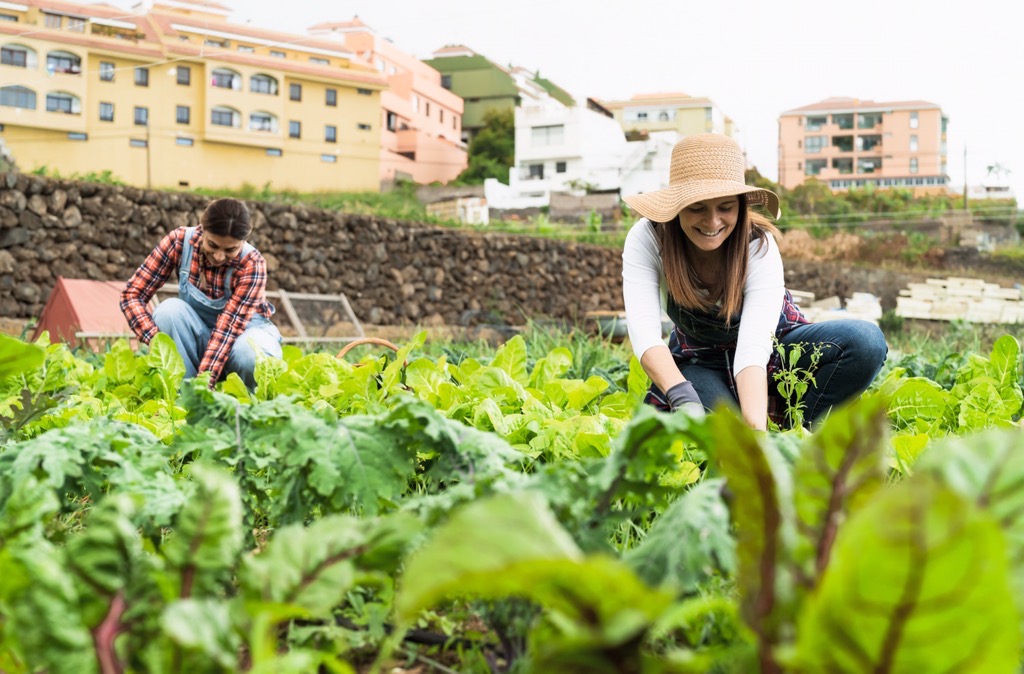 Loger gratuitement en échange de travail a la ferme