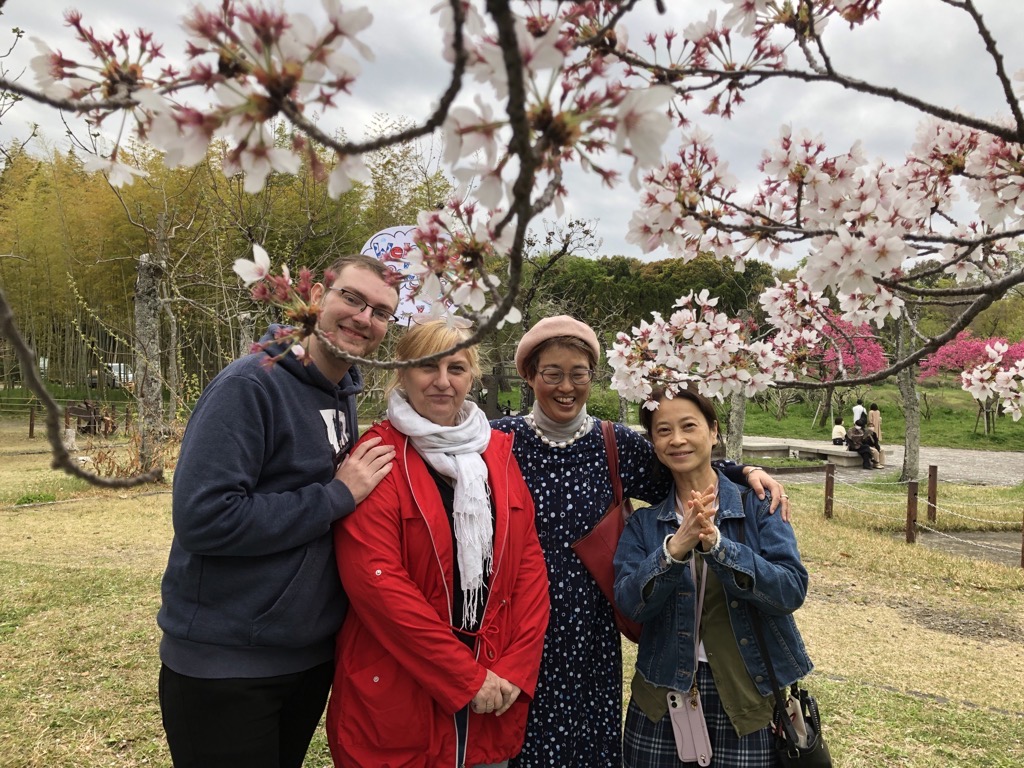pique nique au parc - pendant sakura-osaka