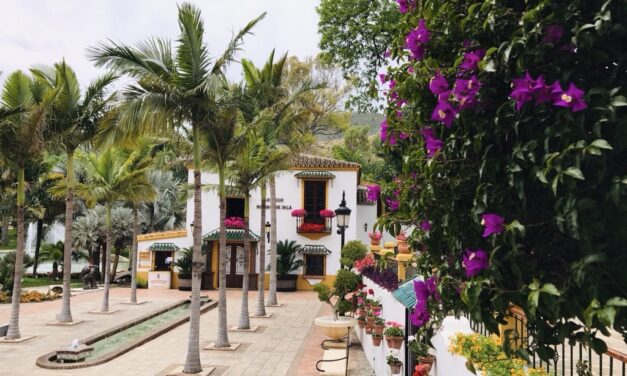Que faire à Torremolinos : Visite du jardin botanique Molino De Inca